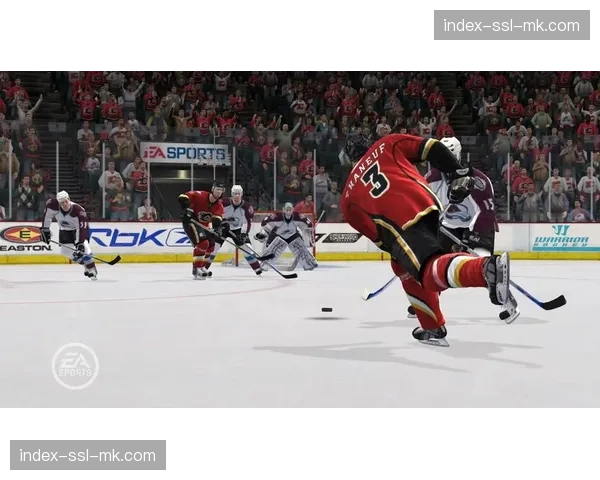 聚焦：冰球裁判凯莉·奥布莱恩——NHL历史上的首位女性全职裁判