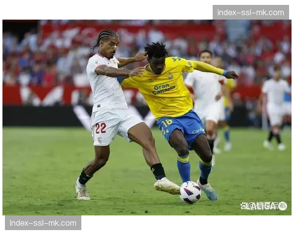 阿拉维斯、塞维利亚与马略卡同积31分，保级混战